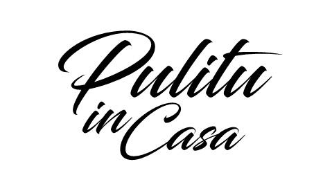 Logo Pulitu in Casa